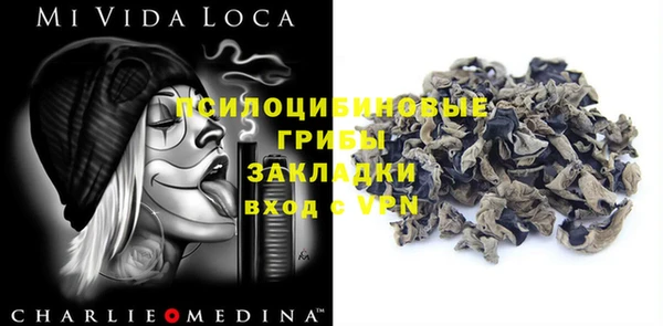 твердый Абаза