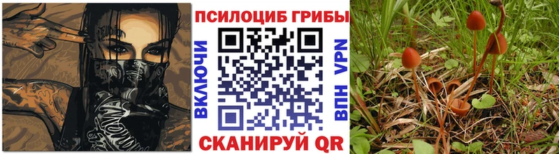 Галлюциногенные грибы GOLDEN TEACHER  где купить   Цивильск 